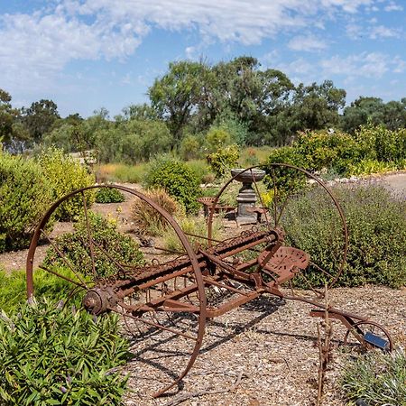 Lake Bywater Cottage Walker Flat Εξωτερικό φωτογραφία